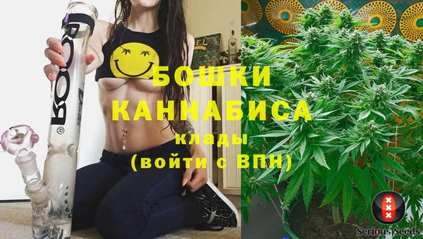 ECSTASY Белокуриха