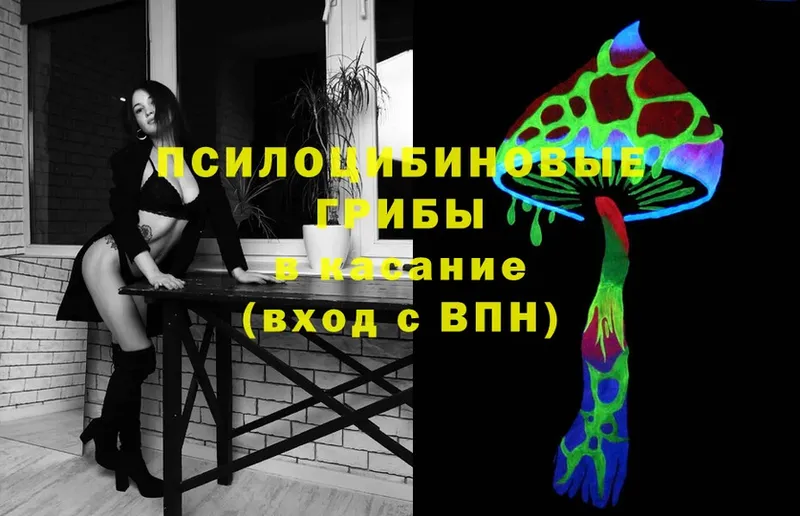 Псилоцибиновые грибы Cubensis  Шумерля 